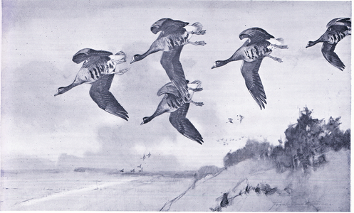 Over the sandhills (litho)