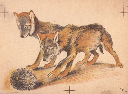 Foxes Chasing a Hedgehog, 1940 (colour litho)