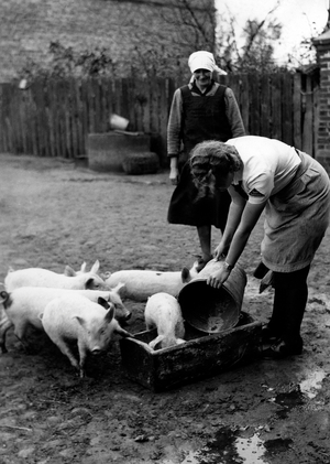 BDM girl working in the shed, 1940 (b/w photo)