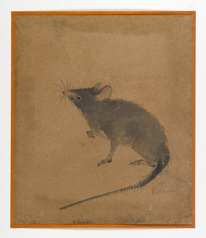 Mouse (ink & sepia on paper)