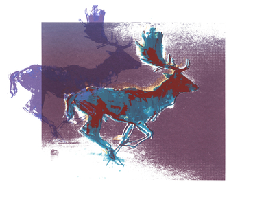 Fallow Bucks (blue/red, purple), 2015 (screen print)