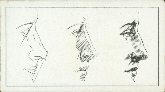 How to sketch: The nose (litho)