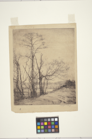 Landscape With Trees And Split Rail Fence, 1919 (etching)
