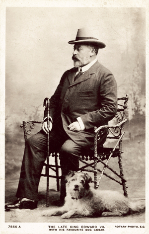 The late King Edward VII, with this favourite dog Caesar (b/w photo)