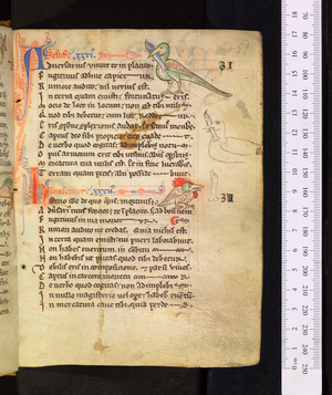 Prenostica Pitagorice consideracionis, c1240-1259 (manuscript)