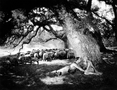 George O'Brien, Dolores Costello, on-set of the Silent Film "Noah's Ark", 1928
