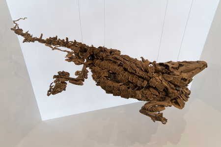 Fossil of a crocodile on display at the Site Museum of Messel Pit Fossil Site, Hessen, Germany (photo)