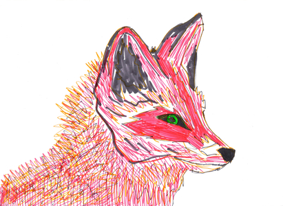 Fox (felt tip on paper)