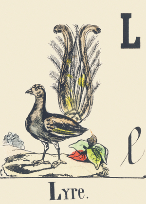 L: Lyre, c1880-1900 (illustration)
