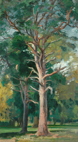 The Scotch Fir (oil on canvas)