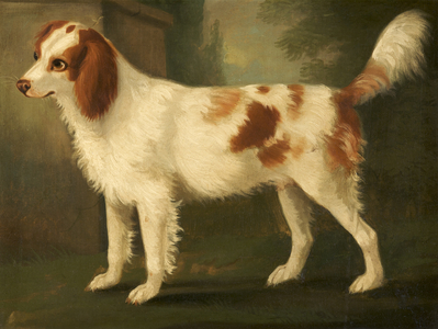 A Spaniel in a Landscape