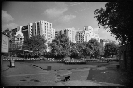 View of the riverside elevation of the Adelphi, seen from the south in the Victoria Embankment Gardens, c.1950-c.1980 (b/w photo)