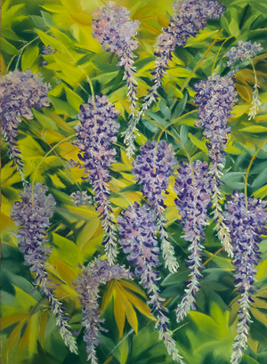 Wisteria flowers & foliage 1, 2023 (pastel on paper)