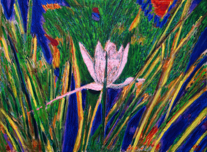 Water Lilys, 2019, oil on canvas