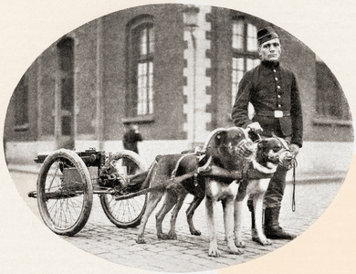 The dogs of war, A Belgian mitrailleuse drawn by dogs during World War One, from The History of the Great War, pub.c. 1919