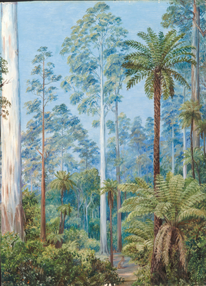 Fernshaw, Victoria, 1880 (oil on board)