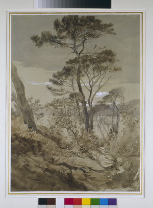 Stone Pines at Sestri, Gulf of Genoa, 30th April 1845 (pencil with pen washes & white bodycolour on paper)