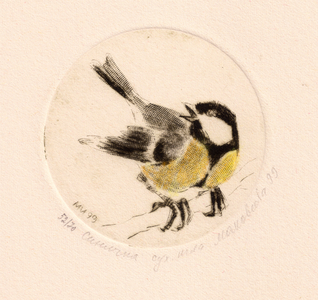 Bushtits or Long-tailed Tit (Aegithalidae), 1999 (drypoint)