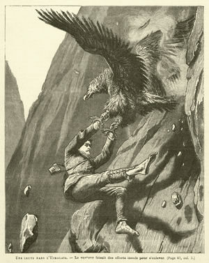 Une Chute Dans L'Himalaya (engraving)
