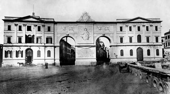 Horses in Italy, 1870 (b/w photo)