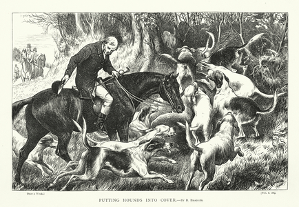 Putting Hounds into Cover (engraving)