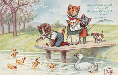 Humorous cat postcard (colour litho)