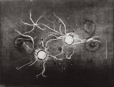 Out of Body 13, 2009 (monotype)