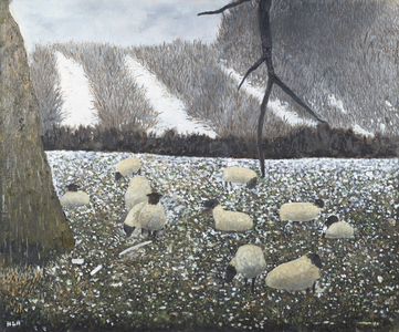 Suffolk Sheep on Winter Field, 1991 (oil on board) 