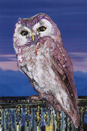 Owl Night, 2013 (digital drawing with w/c on paper)