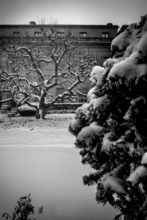 Frick Collection Winter Nº1, 2017 (photograph)