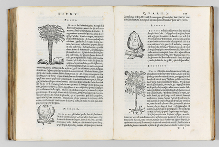 Della Agricoltura di M. Giovanni tatti Lucchese. Libri Cinque. Venice: F. Sansovino, 1561 (print)
