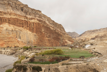 Green Fields and View of Kali Gandaki Valley and Gorge, Chhsuang (Chuksang), Upper Mustang Valley, Nepal (photo)