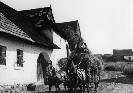 Farmer in a village in the Spis, 1939