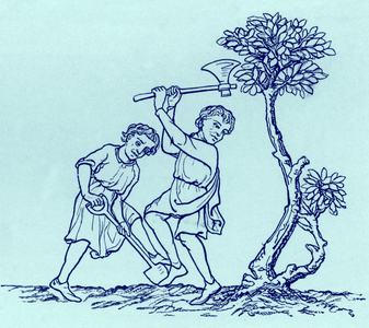 Two men felling a tree