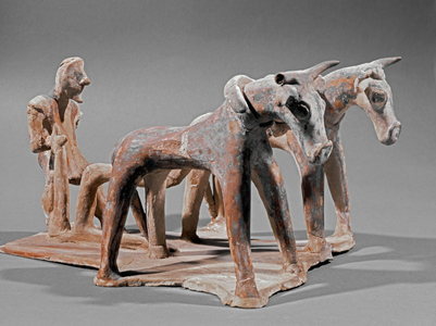 Farmer ploughing with two oxen …