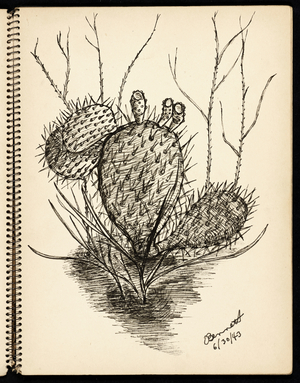 Untitled