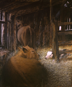 Christmas Calf