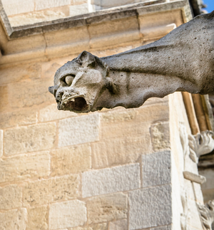 Exterior view, detail: gargoyle.
2016 (photo)