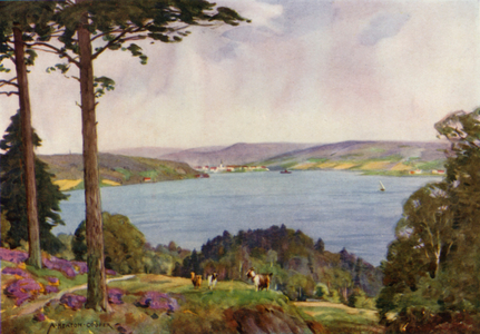 Denmark: Vejle Fiord, South Jutland (colour litho)