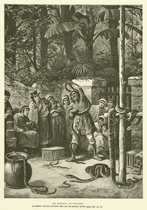 Les Serpents Au Paraguay (engraving)