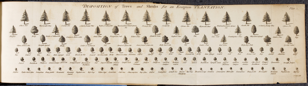 'Disposition of Trees and Shrubs for an Evergreen Plantation'. An illustration of a large number of trees and shrubs