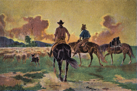 Bringing Home the Sheep (colour photo)