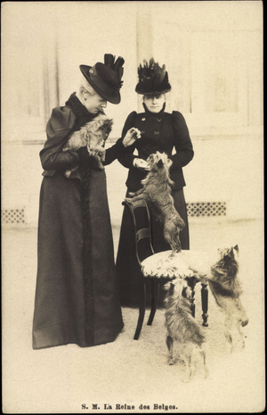 H.M. The Queen of the Belgians, Yorkshire Terrier