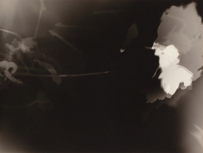 Untitled (gelatin silver print) 
