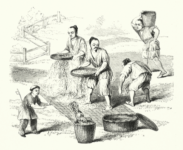 The Corn Sieve (engraving)