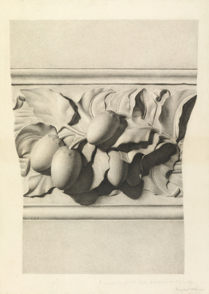 Study of Form for the South Kensington Examinations, 1888 (pencil & stump on paper)