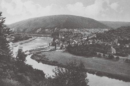 Heidelberg: Blick auf Neckargemund (b/w photo)
