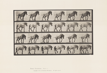 Plate 570. Hauling;Dark-Gray Belgian Horse Hansel, 1885 (collotype on paper)