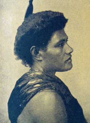 native woman in Fiji island, in Melanesia in the South Pacific Ocean 1890