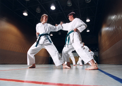 Karate, 1999 (photo)